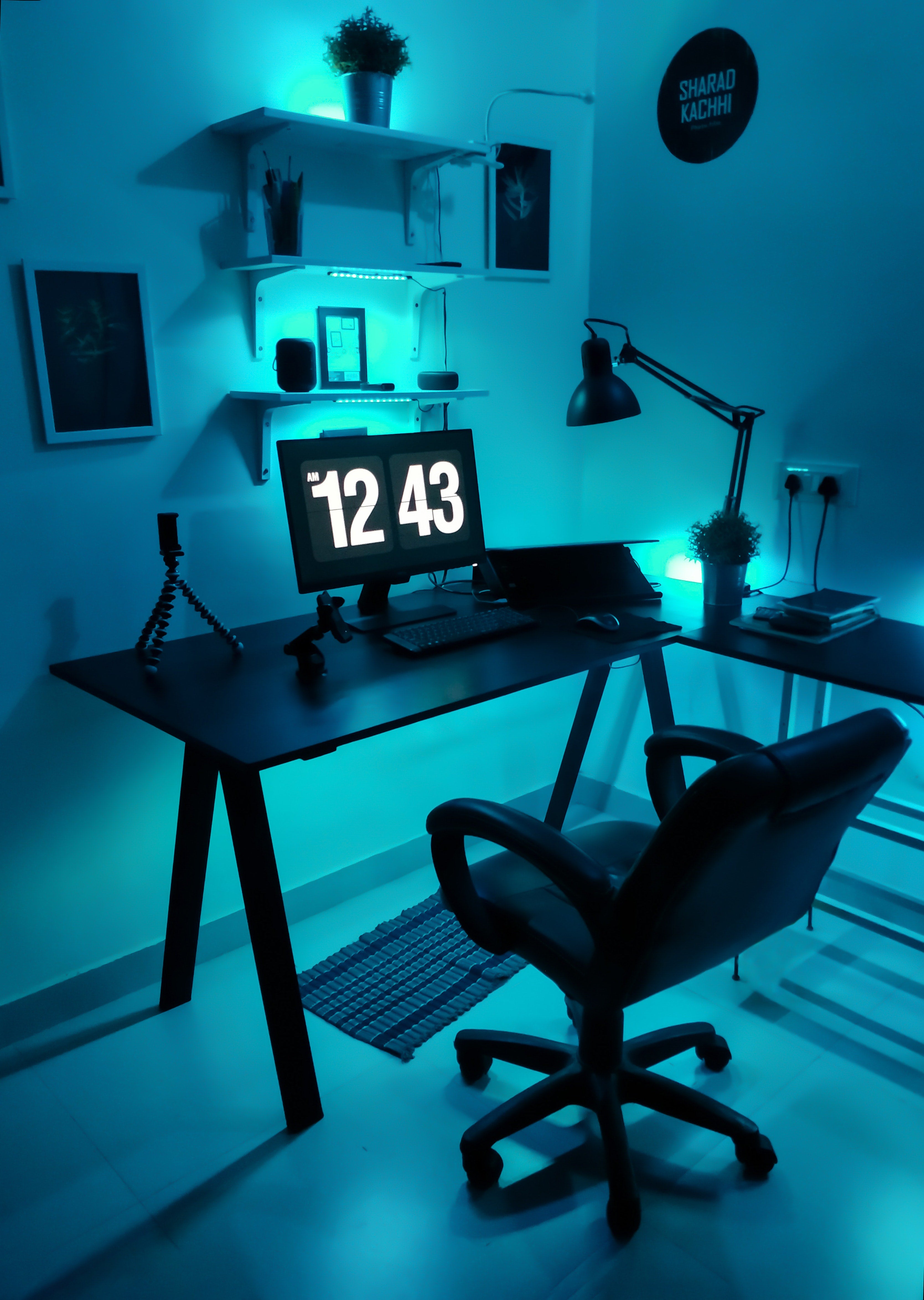 RGB LED LIGHTS w/ App control